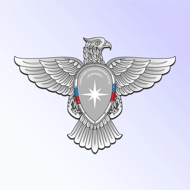 Канал ПСО "САРМАТ" в мессенджере MAX — 3 124 подписчика