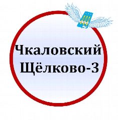 Канал Чкаловский (Щёлково-3) в мессенджере MAX — 2 031 подписчик
