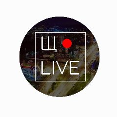 Канал Щёлково LIVE в мессенджере MAX — 2 113 подписчиков