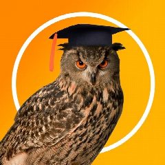 Канал Школьный учебник - учителям, педагогам в мессенджере MAX — 2 600 подписчиков