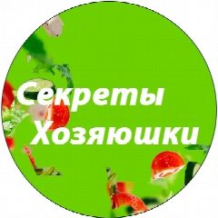 Канал Секреты Хозяюшки в мессенджере MAX — 328 подписчиков