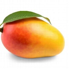 Канал Mango_English ЕГЭ | ОГЭ в мессенджере MAX — 830 подписчиков