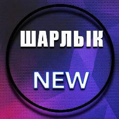 Канал Шарлык NEW в мессенджере MAX — 3 721 подписчик
