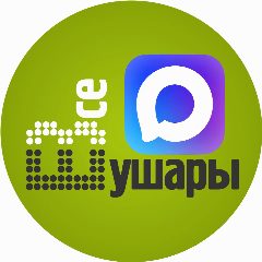 Канал Шушары в мессенджере MAX — 1 273 подписчика