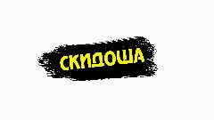 Канал Скидоша в мессенджере MAX — 6 060 подписчиков