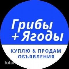 Канал Грибы + Ягоды | Купить, Продать, Оптом. в мессенджере MAX — 424 подписчика