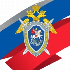 Канал Следком.Тыва в мессенджере MAX — 24 подписчика