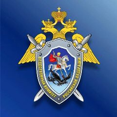Канал Следком Приморья в мессенджере MAX — 1 616 подписчиков