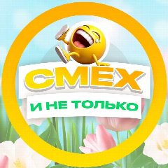Канал СМЕХ и не только в мессенджере MAX — 339 подписчиков