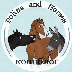 Канал Polina and Horses | коноблог в мессенджере MAX — 128 подписчиков
