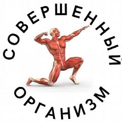 Канал Совершенный организм в мессенджере MAX — 12 626 подписчиков