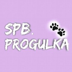 Канал Spbprogulka в мессенджере MAX — 2 449 подписчиков
