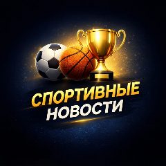 Канал СПОРТ в мессенджере MAX — 2 492 подписчика