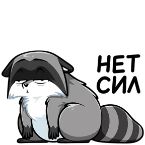 Стикер из набора Енот