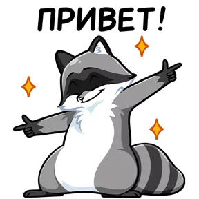 Стикер из набора Енот