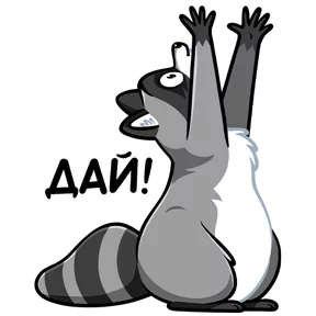 Стикер из набора Енот