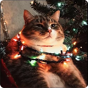 Стикер из набора Котаны-2