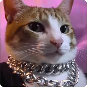 Стикер из набора Котаны-2