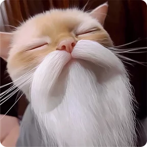 Стикер из набора Котаны-2