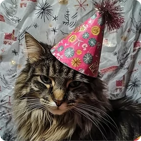 Стикер из набора Котаны-2