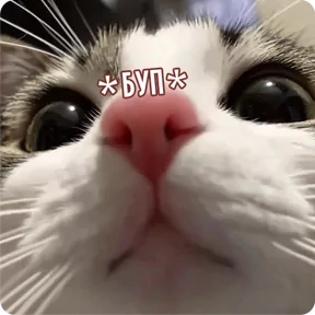 Стикер из набора Котаны