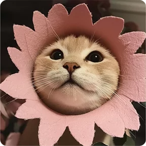 Стикер из набора Котаны