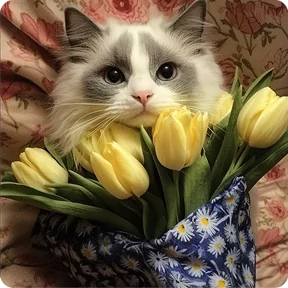 Стикер из набора Котаны