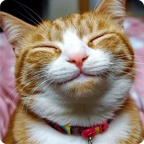 Стикер из набора Котаны