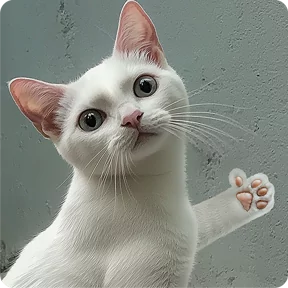 Стикер из набора Котаны