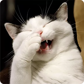 Стикер из набора Котаны