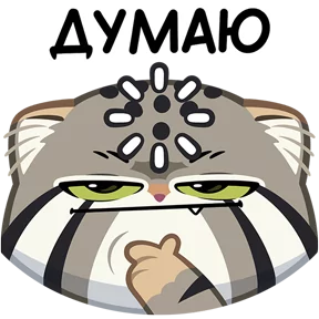 Стикер из набора Манул Тимофей