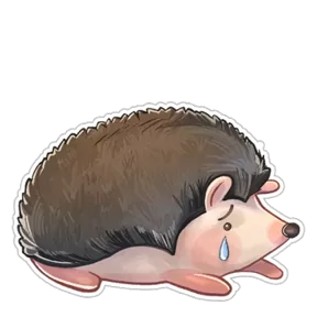 Стикер из набора Милый ёж