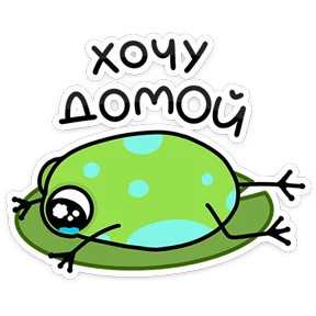 Стикер из набора Насекомые и их знакомые