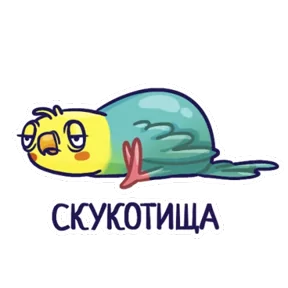 Попугайчики