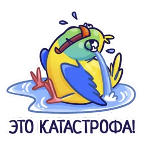 Стикер из набора Попугайчики