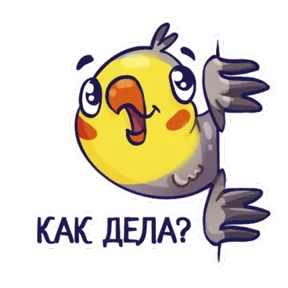 Стикер из набора Попугайчики