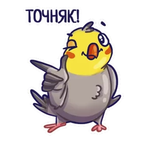 Стикер из набора Попугайчики