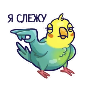 Стикер из набора Попугайчики