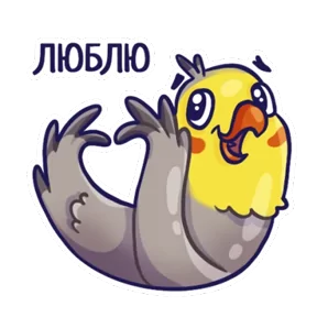 Стикер из набора Попугайчики