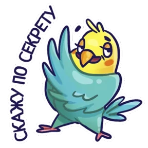 Стикер из набора Попугайчики