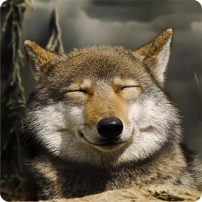 Стикер из набора Собакены