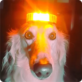 Стикер из набора Собакены