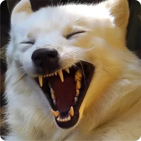 Стикер из набора Собакены