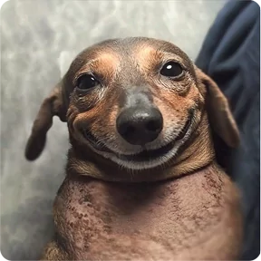 Стикер из набора Собакены