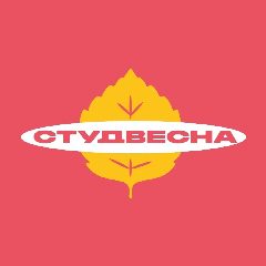 Канал СТУДВЕСНА в мессенджере MAX — 6 156 подписчиков