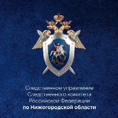 Канал Нижегородский Следком в мессенджере MAX — 884 подписчика