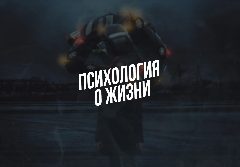 Канал Психология о жизни в мессенджере MAX — 76 подписчиков