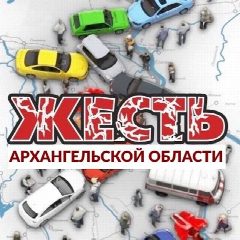 Канал Жесть Архангельской области в мессенджере MAX — 8 770 подписчиков