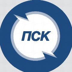 Канал АО «Петербургская сбытовая компания» в мессенджере MAX — 3 517 подписчиков