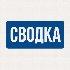Канал СВОДКА в мессенджере MAX — 2 490 подписчиков